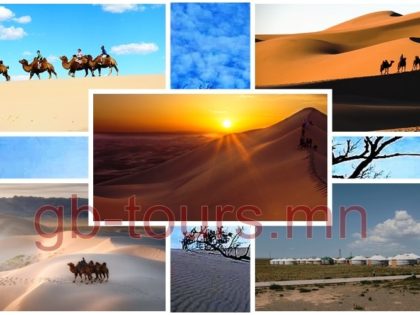 SOUTH GOBI TOUR -11 days