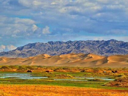 GOBI TOUR-7 days